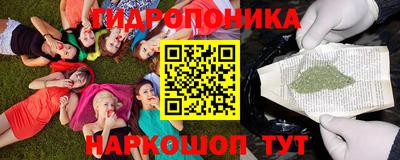 мдпв Заводоуковск