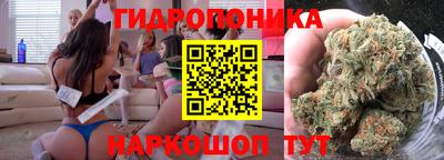 мдпв Жуковский