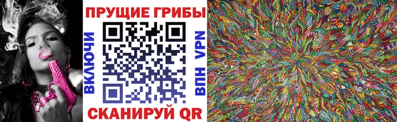 как найти закладки Махачкала Галлюциногенные грибы Magic Shrooms