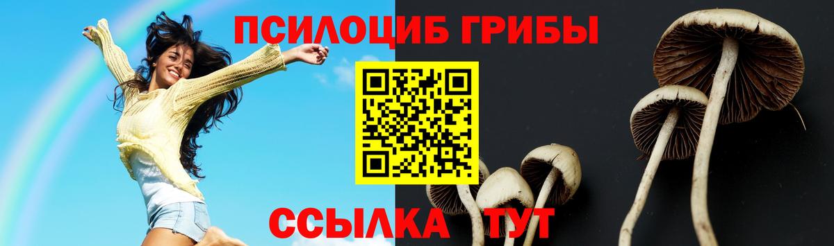 Галлюциногенные грибы ЛСД  Галлюциногенные грибы MAGIC MUSHROOMS  Вход с VPN  Махачкала 