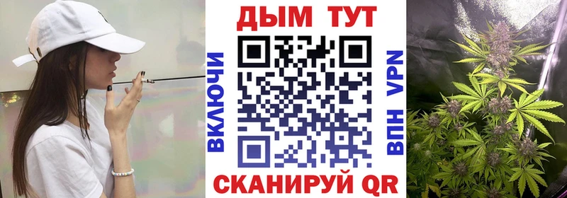 цены наркотик  Махачкала  Бошки Шишки тримм 